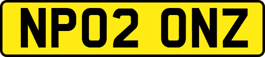 NP02ONZ