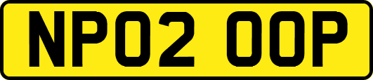 NP02OOP