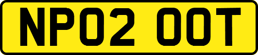 NP02OOT
