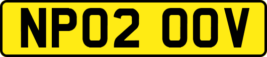 NP02OOV