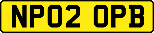 NP02OPB