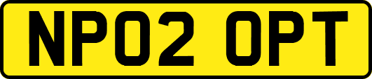 NP02OPT