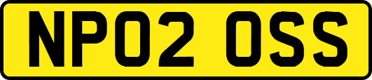 NP02OSS