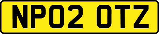 NP02OTZ