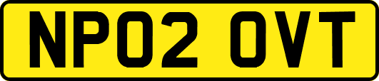 NP02OVT