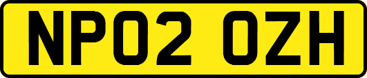 NP02OZH