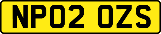 NP02OZS
