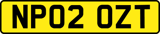 NP02OZT