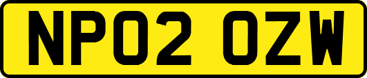 NP02OZW