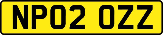 NP02OZZ