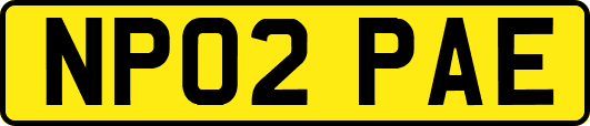 NP02PAE
