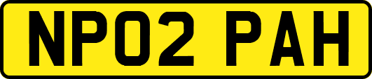 NP02PAH