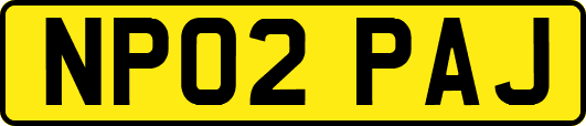 NP02PAJ