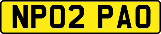 NP02PAO