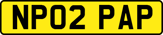 NP02PAP