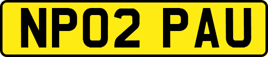 NP02PAU