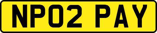 NP02PAY