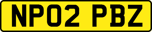 NP02PBZ