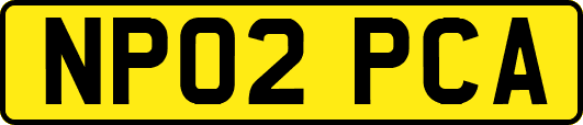 NP02PCA