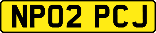 NP02PCJ