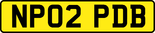 NP02PDB