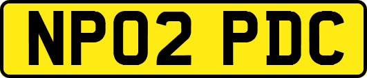 NP02PDC