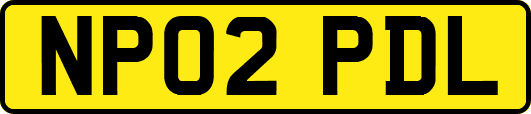 NP02PDL