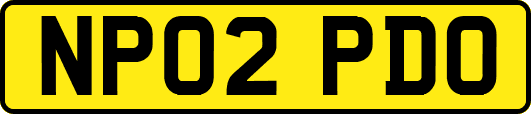 NP02PDO