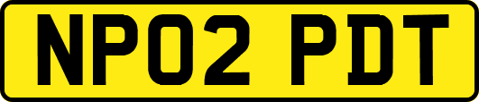 NP02PDT