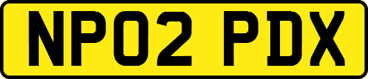 NP02PDX