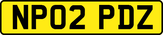 NP02PDZ