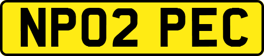 NP02PEC