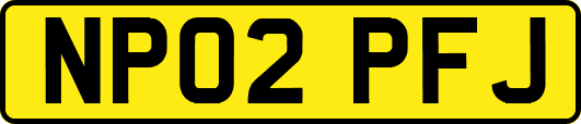NP02PFJ