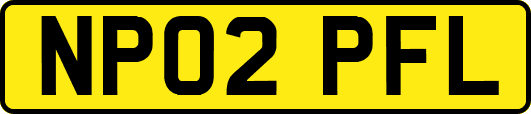 NP02PFL