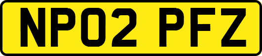 NP02PFZ
