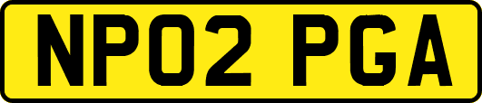 NP02PGA