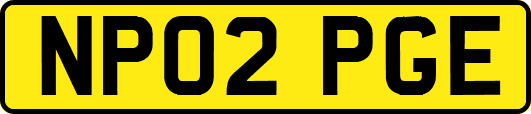 NP02PGE