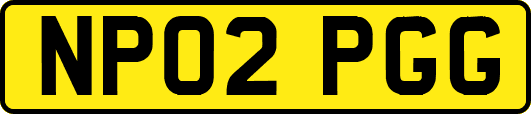 NP02PGG