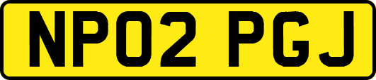 NP02PGJ