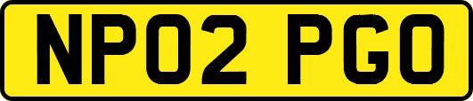 NP02PGO