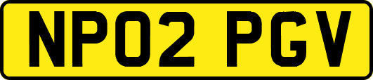 NP02PGV