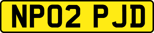 NP02PJD