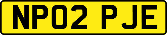 NP02PJE