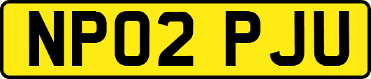 NP02PJU