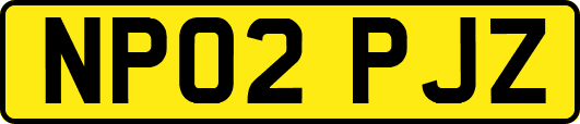 NP02PJZ