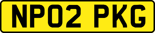 NP02PKG