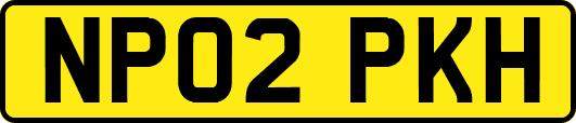 NP02PKH