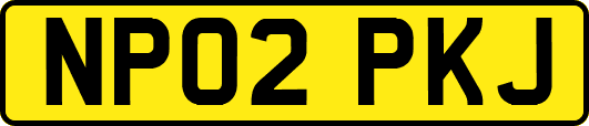 NP02PKJ