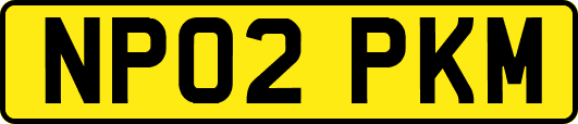 NP02PKM