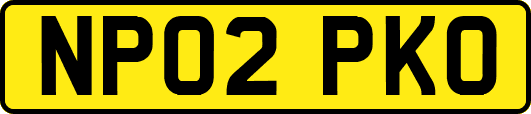 NP02PKO